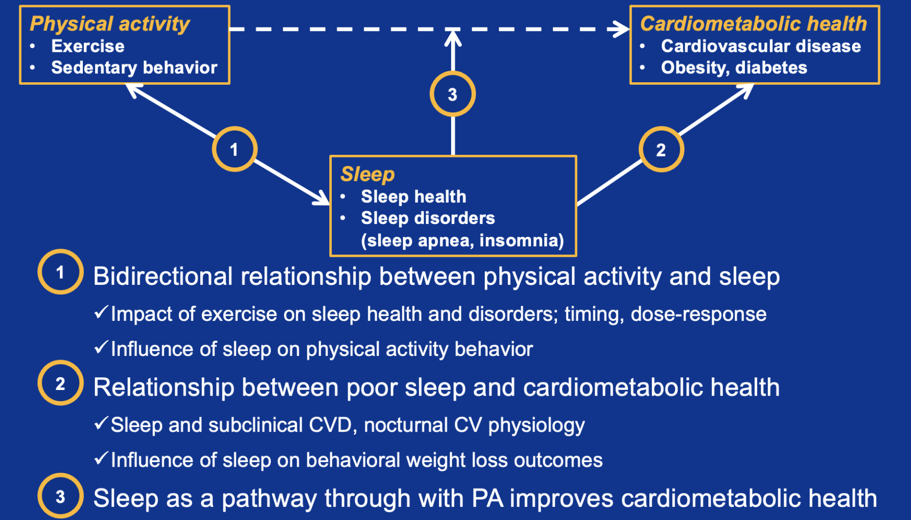 Infographic depicting the relationship between physical activity, sleep, and cardiometabolic health