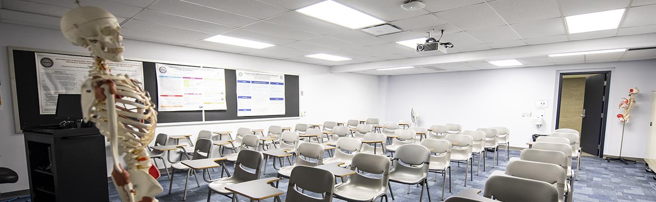 Anatomical skeleton of a human skeleton in a classroom